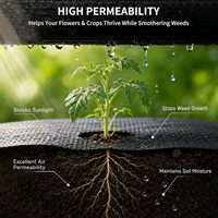 Toile tissée en PP anti-herbe noire avec rayures vert menthe pour jardin potager, protection du sol, haute résistance à la traction