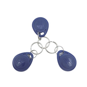Tùy chỉnh 125khz/13.56MHz RFID Keychain cửa nhập kiểm soát truy cập Key Fob RFID Tag chìa khóa - Product Image 6