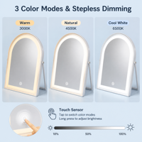 Grand miroir de maquillage LED arqué avec haut-parleur Bluetooth, 3 couleurs réglables, commande tactile, miroir de salon de beauté, vente en gros