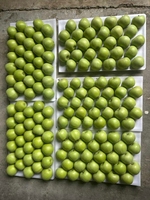 Graines de lotus fraîches du Vietnam, achat en gros, prix compétitifs, exportation en gros, produit agricole