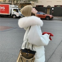 Manteau d'hiver long en duvet pour femme, col montant, blanc, vente en gros d'usine, vêtements d'hiver pour femmes