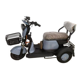 Factory Direct <strong>Sale</strong> Wholesale 600w 48v Electric Tricycles Electric Adult Tricycle Electric <strong>Trike</strong> Three Wheel Electric - Product Image 3