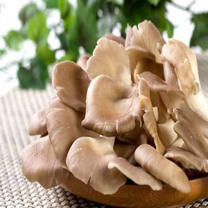 オイスターマッシュルームエキス粉末多糖Pleurotus Ostreatus 30% オイスターマッシュルームパウダー食品グレードオイスターマッシュルームエキス - Product Image 6