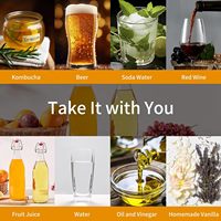 Bouteilles en verre à bouchon basculant de 16 oz pour la fermentation de bière, kombucha, miad, kéfir, extrait de vanille, jus, thé, vin