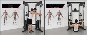 BK-3073 Appareil de musculation complet BODYLONGER en acier pour petits oiseaux, usage professionnel, commercial et domestique, capacité de charge 160 kg - Product Image 5