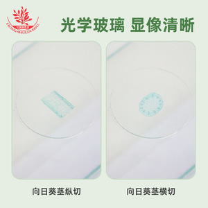 Observation et compréhension microscopiques des lamelles de tiges de plantes dicotylédonées, y compris des sections transversales et longitudinales - Product Image 5