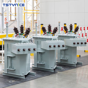 वाणिज्यिक उपयोग के लिए कारखाने 315kva तेल विसर्जित वितरण ट्रांसफार्मर - Product Image 2