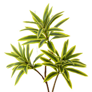 Rama de bambú artificial tocada real de la tela de seda plástica de la muestra libre para la decoración casera - Product Image 1