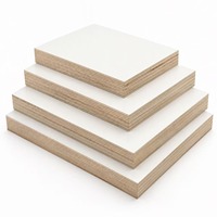 Contreplaqués de première qualité 4x8 18mm, écologiques, pour usage intérieur, résistants à l'eau et au feu pendant 1 an, anti-corrosion, double face, en bouleau E0