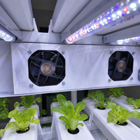 Système hydroponique de jardin intelligent d'intérieur avec réservoir d'eau et lampes de culture LED dédiées pour légumes, fruits et fleurs