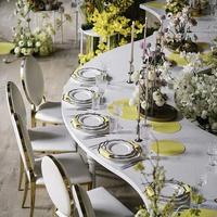 Prix d'usine table de mariage personnalisée de haute qualité tables de mariage serpentine en acrylique blanc de luxe