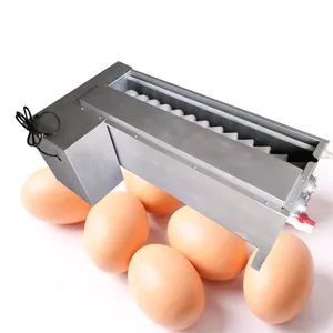 Automatic Egg Cleaner Washer Duck Goose Egg Cleaning Machine - China Egg  Washing Machine, Egg Washer Machines