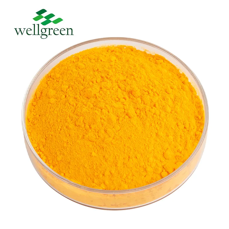 Wellgreen toptan kaliteli Vitamin Q koenzim Q10 10%-99% Ubiquinone Q10 koenzim tozu