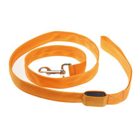 Tali Kekang Anjing Bercahaya Isi Ulang USB 2023 LED Tali Kekang Anjing Bercahaya USB Pengisian Daya Led Aksesori Tali Anjing