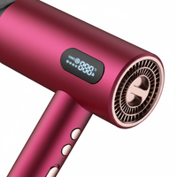 Sèche-cheveux professionnel 1600W avec moteur BLDC et technologie ionique, design élégant pour la maison, idéal pour les soins capillaires féminins.