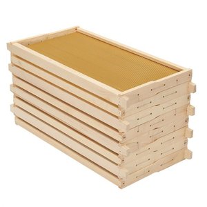 Équipement d'apiculture Cadre de ruche en bois avec fond de teint en cire d'abeille Cadre d'abeille en bois de pin de qualité supérieure - Product Image 4
