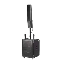 Columna de Sonido Inalámbrica OEM al por Mayor TTD-1510 para Exteriores, Altavoz Line Array de 15 Pulgadas con Batería Recargable de 80+20W de Alta Potencia