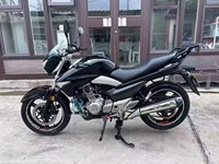 Moto de rue Suzuki GW250cc bicylindre refroidie par eau, boîte de vitesses 6 rapports, vitesse maximale >80 km/h, fournie directement par le fabricant