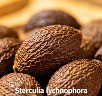 Getrocknete Sterculiae Lychnophorae: Mildes Kräuteraroma-Rohmaterial für Verdickungsmittel, Stabilisatoren, Getränkemischungen und tägliche feuchtigkeitsspendende Gels