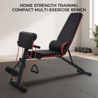 Chaise romaine pliable réglable en métal avec inclinaison pour exercices d'extension du dos et des jambes, usage commercial