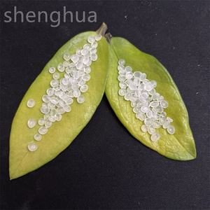 Polipropileno PP Gránulos Materia prima 100% Virgen Meltblown Pp Mfi 1300 1500 1800 Pp 25kg - Product Image 3