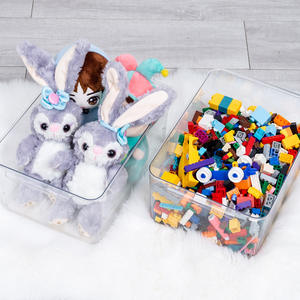 Organisateur de réfrigérateur en plastique transparent pour animaux de compagnie bacs de rangement techniques d'injection cuisine nourriture légumes Fruits réfrigérateur boîte de rangement - Product Image 5