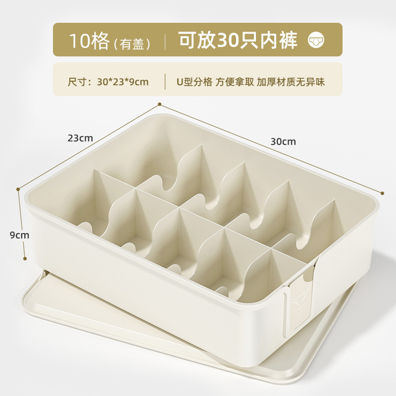 Boîte à sous-vêtements à 10 compartiments avec couvercle - Blanc élégant ZHZ17555