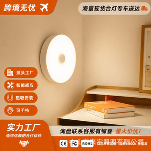 <b>Led</b> Night <b>Light</b> Rechargeable Human Body Sensor Wall <b>Light</b> For <b>Hallway</b> Staircase Bedroom Wardrobe 36V Acrylic Lampshade - Product Image 2