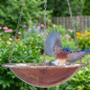 Ornement de bain pour oiseaux suspendu OEM - Product Image 3