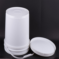 Fût en plastique de 20 litres, couleur personnalisée, livraison rapide, étanchéité renforcée, certifié ISO, pour engrais liquide