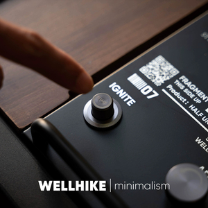 WELLHIKE 户外 SWS 半单元 IGT 三燃烧器 7500W 燃气野营阿尔卑斯炉 多功能台式炉 - Product Image 4