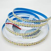 Nouvelle Offre 2026 : Bande LED SMD2835 12V/24V 14W 240 LED Blanches, 240 LED/m, 10mm Haute Densité, Adhésive, Coupable, IP20, Cuivre
