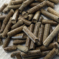 Granulés de biomasse en gros, fabriqués en usine, à faible teneur en cendres et en humidité, à prix compétitif, à valeur chromatique élevée, pour colorants industriels