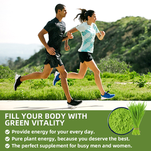 Bubuk rumput gandum gandum Barley makanan Super banyak organik bubuk hijau Super jual panas bubuk jus daun Barley alami - Product Image 5