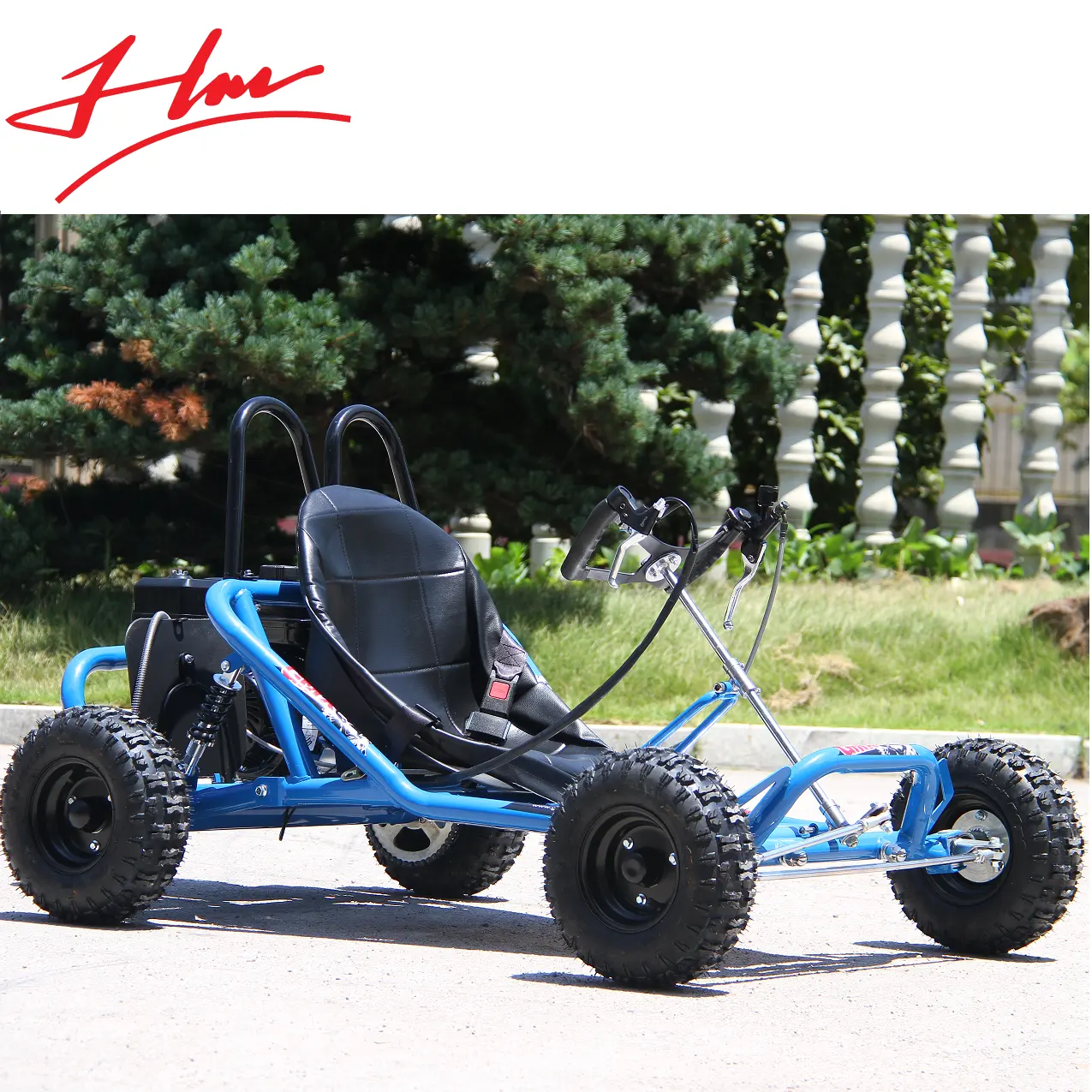 6.5HP karts outdoor gas go kart racing 196CC buggy.OEM deliver time fast go karts.Sample available