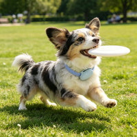 Collier pour chien en velours avec support AirTag, collier pour animaux de compagnie réglable et doux pour toutes les races de chiens, couleurs et motifs personnalisés disponibles
