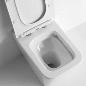 Europea colgando <span class=keywords><strong>wc</strong></span> <span class=keywords><strong>doble</strong></span> <span class=keywords><strong>descarga</strong></span> montado en la pared de baño de forma cuadrada, fabricante de China - Product Image 5