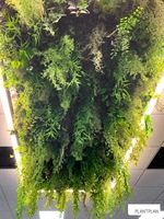 Plante suspendue artificielle pour plafond, fausse herbe verte, plante murale suspendue, décoration de plafond artificielle pour hôtel, restaurant
