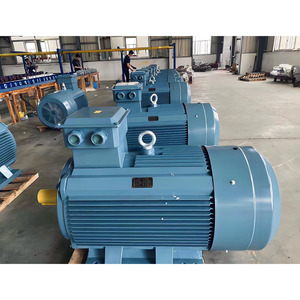 Động cơ điện cảm ứng 18hp <span class=keywords><strong>24hp</strong></span> 3kw 3 pha Ie2 125 kw - Product Image 4