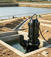 Pompe submersible compacte en fonte pour eaux usées 0,75 kW 1 CV, idéale pour le drainage des serres et des jardins domestiques