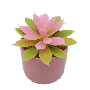 Schlussverkauf Simulation Topfpflanzen dekoratives Kunststoff mini künstliche sukkulente Blume Großhandel