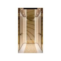 Ascenseurs pour passagers en acier inoxydable 304, finition dorée, pour villas, hôtels, appartements, ascenseurs à traction modernes pour résidences