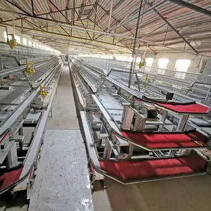 镀锌钢鸡笼网a型家禽养殖场设备电池层自动鸡笼，带产卵系统