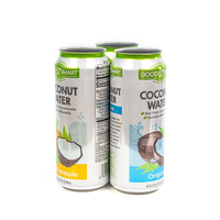 Vente en Gros de Canettes Vides en Aluminium de Haute Qualité Alimentaire pour Jus et Boissons avec Couvercles Faciles à Ouvrir