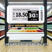 ZKONG 2.6 inci ESL Epaper Display Digital rak harga tag Wifi Ble Supermarket ESL EAS sistem produk