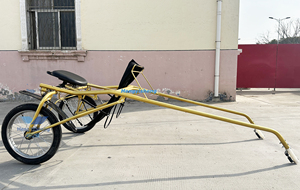 Course de chariots / Course de calèches / Chariot de sport / Calèche tirée par des chevaux - Product Image 3