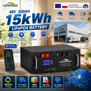 <span class=keywords><strong>Batterie</strong></span> <span class=keywords><strong>lithium</strong></span>-ion CERRNSS au <span class=keywords><strong>prix</strong></span> d'usine, 5 kWh, 10 kWh, 15 kWh, 51,2 V, pour stockage d'énergie <span class=keywords><strong>solaire</strong></span> domestique, <span class=keywords><strong>batterie</strong></span> Lifepo4 48 V 100 Ah, 200 Ah, 300 Ah - Product Image 1