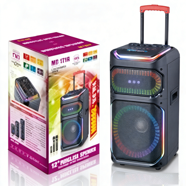 Powerful 12 Inch  Speaker, 100W Loud Party Sound, Wireless Mics, Ideal for Outdoor Karaoke DJ