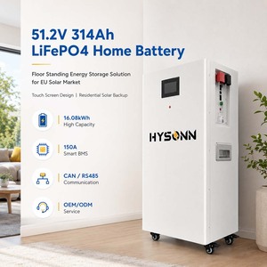 Battery Lithium 15kWh 16kWh 51.2V 314Ah Floor <b>Standing</b> Home Battery with BMS Touch Screen for EU Solar Market - Product Image 2