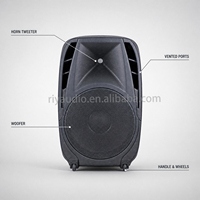 Enceinte active PA R-12C/R-15C 140W/160W avec Bluetooth, USB, lecteur de carte SD, radio FM, lecteur multimédia MP3 et roulettes pour événements, scènes, KTV